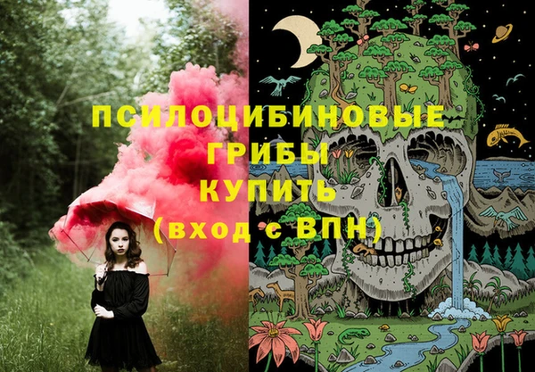 не бодяженный Аркадак