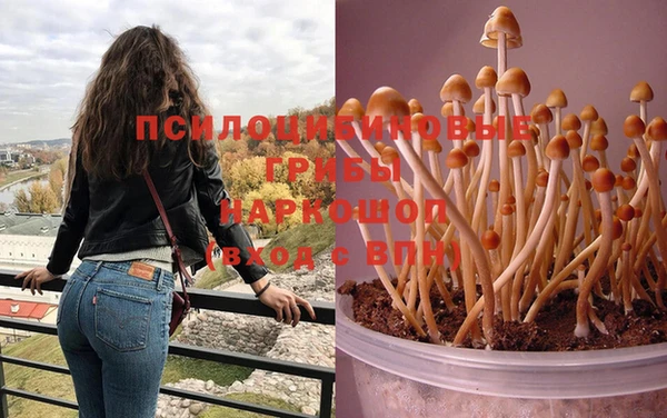 не бодяженный Аркадак