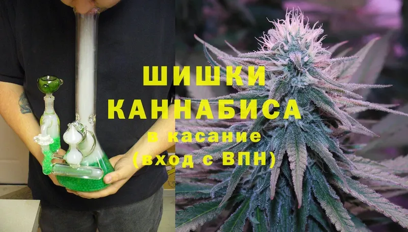 купить наркотик  Бронницы  Шишки марихуана Amnesia 