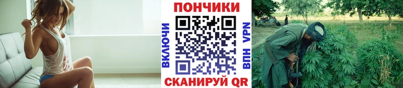 Бошки Шишки гибрид  хочу   Бронницы 